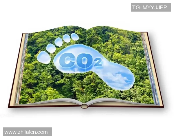 绿色电竞新风尚：探索降低线下赛事碳足迹的有效策略与实践